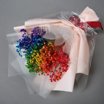 허니비플라워 무지개 안개꽃 보존화 프리저브드