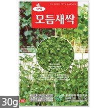 귀리 새싹 씨앗 50g / 새싹씨앗 귀리씨앗 귀리새싹씨앗 새싹귀리 귀리씨 캣그라스 캣글라스 고양이풀, 01_새싹씨앗_모듬새싹(30g)