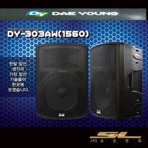 대영음향 DY-303AW 1000W 충전식 포터블 앰프, 보조스피커