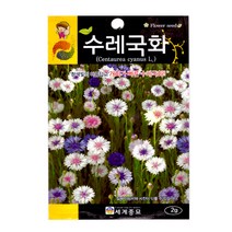 헬프팜 수레국화 2g 세계종묘 수레국화 씨앗 종자