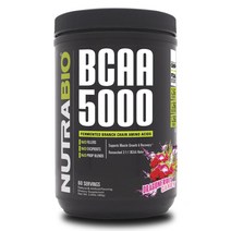 뉴트라바이오 BCAA 5000 용과 캔디 맛, 380g, 1개