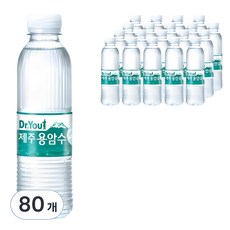 오리온 닥터유 제주용암수, 330ml, 80개