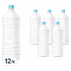 롯데칠성음료 하늘샘 생수 무라벨, 12개, 2L