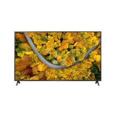 LG전자 4K UHD LED TV, 107cm(43인치), 43UR642S0NC, 스탠드형, 방문설치