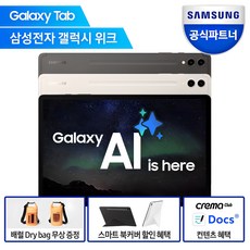 삼성전자 갤럭시탭 S9 플러스, 그라파이트, 256GB, Wi-Fi