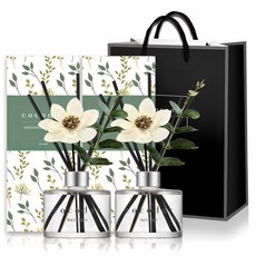 코코도르 그리너리 디퓨저 선물세트 200ml 2개 +쇼핑백, 블랙체리+ 에이프릴 프레쉬, 1세트
