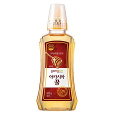 곰곰 아카시아 꿀, 500g, 1개