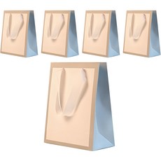 더깔끔 컬러 종이쇼핑백 5p, 그레이, 1번(21 x 15 x 6 cm)