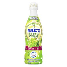 Asahi 朝日 可爾必思 濃縮乳酸菌發酵飲 麝香葡萄口味, 1個, 470ml