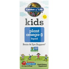 Garden of Life 孩童植物性Omega-3補充液 草莓風味, 1瓶