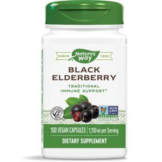 Nature's Way 然萃維 接骨木莓素食膠囊, 100顆, 1罐