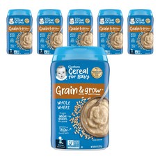Gerber 嘉寶 寶寶副食品穀物粉, 全麥口味, 227g, 6罐