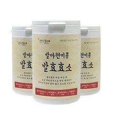 굿모닝효소 유기농 발아현미콩 발효 효소 300g 75회섭취, 1통