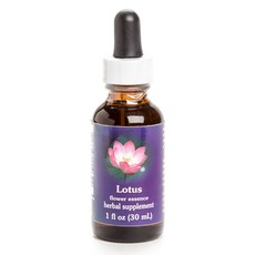 러쉬로터스플라워