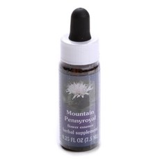 플라워에센스서비시즈 마운틴 페니로얄 플라워 에센스 드로퍼, 1개, 7.5ml