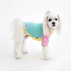 꼬떼아꼬떼나시