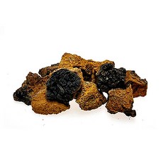 [토종마을] 러시아 차가버섯, 1kg, 1개