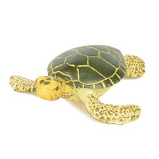 201329 아기푸른바다거북이 Green Sea Turtle Baby, 혼합, 5.5x6.1x2.6cm, 1개