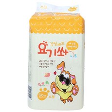 강남카페대관