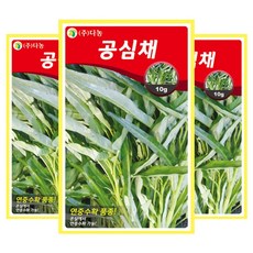 다농 공심채 씨앗
