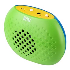 bzb1er1101