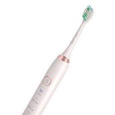 단미 음파 전동칫솔 클린케어 + 케이스 + 칫솔모 2p, DA-CL100(WHITE), 1개