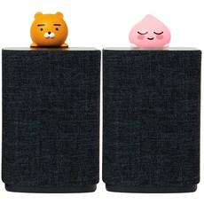 카카오키즈이용권