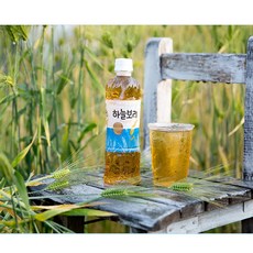하늘보리 차음료, 500ml, 20개