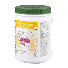 뉴트리라이트 뉴트리 키즈 푸로틴 베리 영양보충제, 500g, 1개