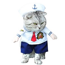 네꼬모리코튼볼터널