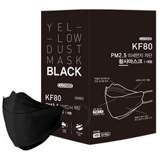 클로저 에버그린 블랙 황사마스크 대형 KF80, 20매입, 1개