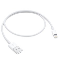 Apple 정품 라이트닝 USB 케이블 0.5m, 1개