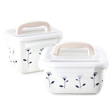 젠 치커리 생생 용기세트, 1세트, 용기 2.3L + 3.6L
