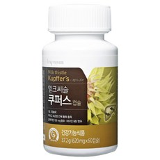 브이푸드 밀크씨슬 간케어