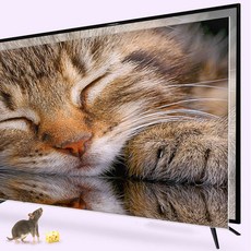 이엔TV 4K UHD DLED TV, 138cm(55인치), EN-SL550U, 스탠드형, 자가설치