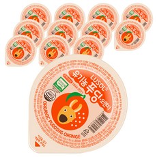 루솔 유기농 오렌지푸딩, 오렌지, 12개