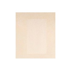카라디움 썬팩트 SPF50+ PA+++, 11g, 1개, 21호