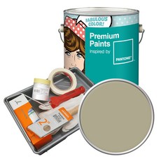 노루페인트 팬톤 내부용 실내벽면 무광페인트 4L 세트, 15-0513 Eucalyptus, 4000ml, 1개