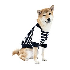 꼬떼아꼬떼나시