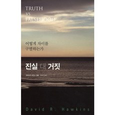 진실 대 거짓:어떻게 차이를 구별하는가, 판미동, 데이비드 호킨스 저/백영미 역