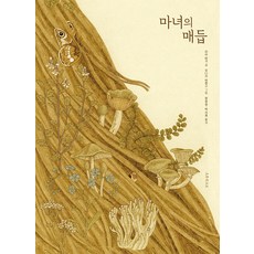 마녀의 매듭, 리사 비기, 오후의소묘