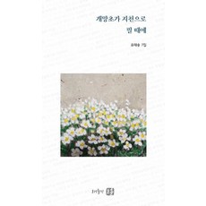 개망초자수