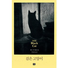 [새움]검은 고양이 (양장)