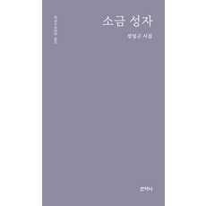 [산지니]소금 성자 - 산지니시인선 2, 산지니, 정일근