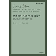 [비(도서출판b)]부정적인 것과 함께 머물기 : 칸트 헤겔 그리고 이데올로기 비판 - 슬로베니아 학파 총서 8, 슬라보예 지젝, 비(도서출판b)