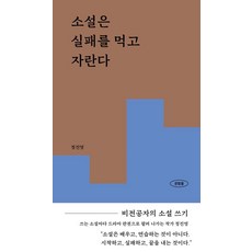 소설은 실패를 먹고 자란다:비전공자의 소설 쓰기, 정진영, 파이퍼프레스