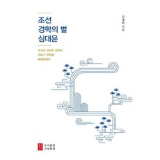 조선 경학의 별 심대윤:조선의 마지막 실학자 19세기 유학을 재정립하다, 김재화, 수류화개