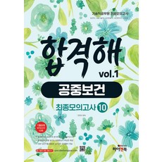 기술직 공무원 전공모의고사 합격해 공중보건 vol 1: 최종모의고사 10, 하이앤북 하이앤북