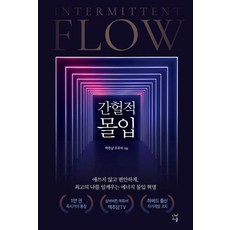 간헐적 몰입:최고의 나’를 일깨우는 에너지 몰입 혁명, 나비스쿨, 조우석