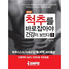 snpe책